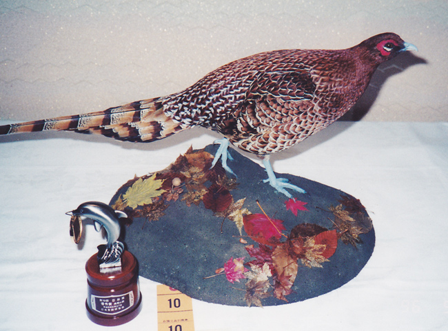 山鳥　剥製 ヤマドリ 山鳥 キジ 剥製の通販 by GOOD FEEL's shop｜ラクマ